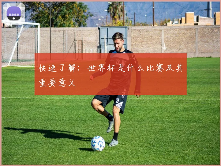 快速了解：世界杯是什么比赛及其重要意义